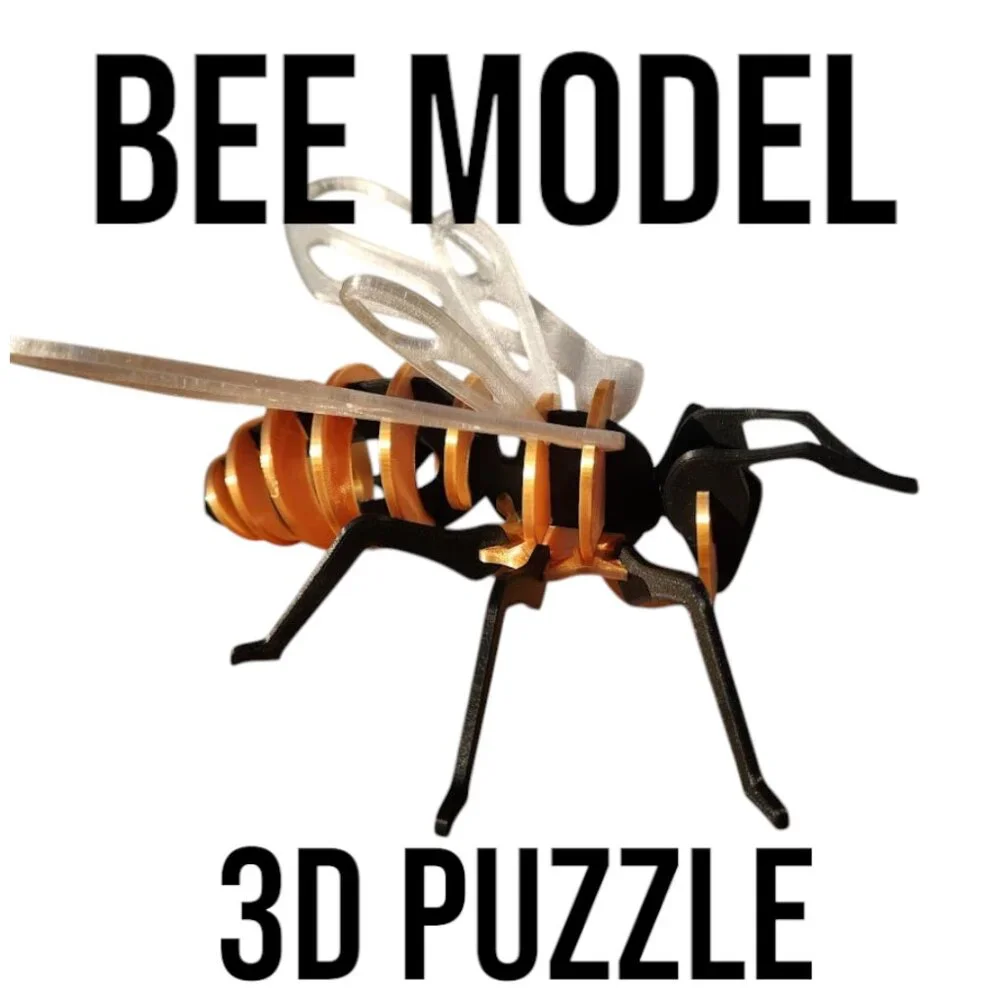 Bee Model Honeybee 3D Puzzle Honey Bees Classroom Science STEM Craft Insect Bugs